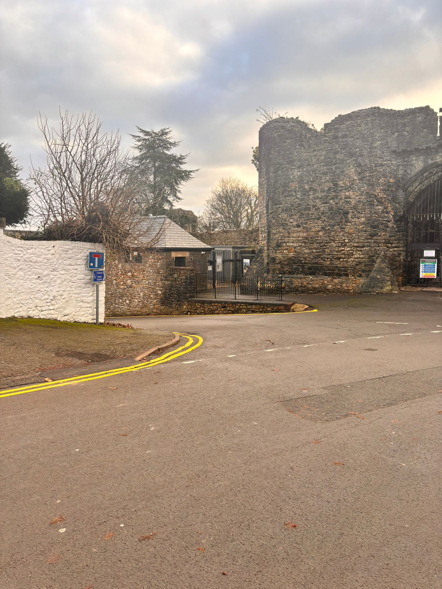 Llun o Hen Lys yr Esgob