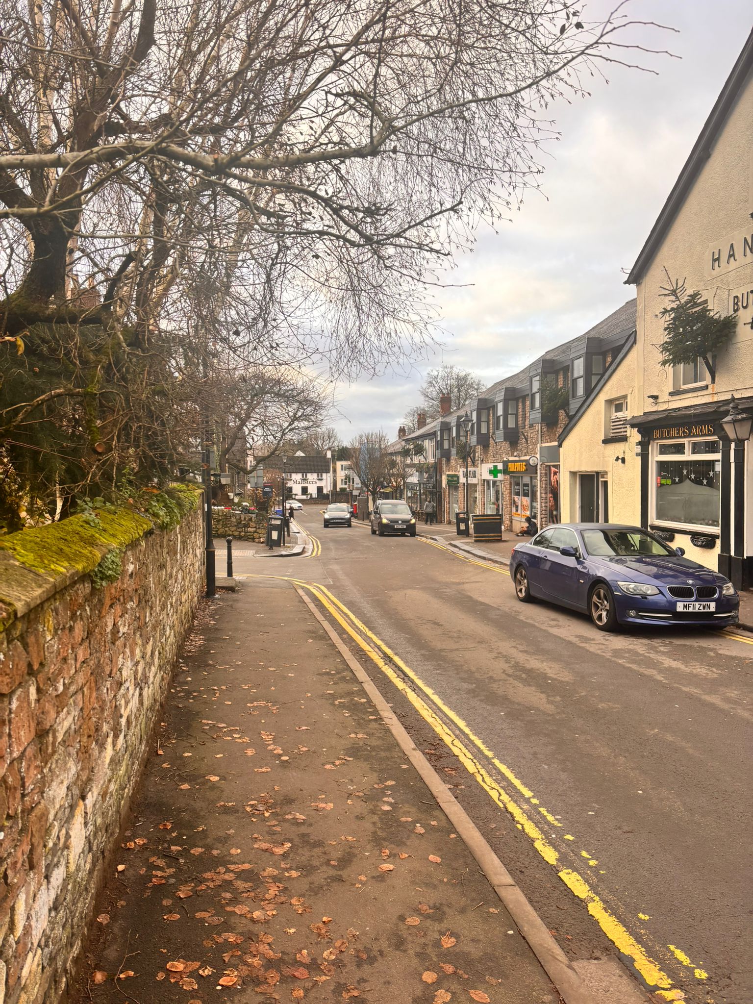 Llun o Bentref Llandaf